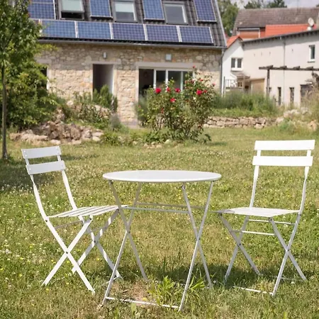 別荘 Brunnenhaus Land-idylle In Der Stadt マインツ