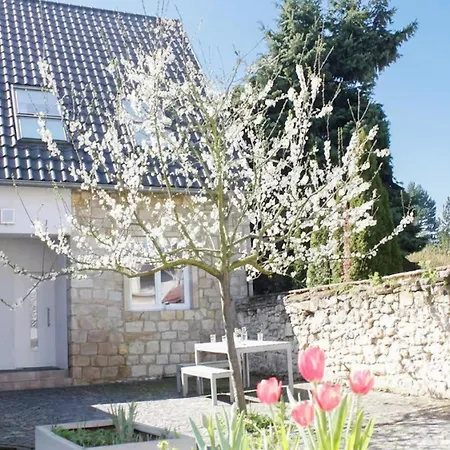 別荘 Brunnenhaus Land-idylle In Der Stadt マインツ