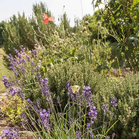 Brunnenhaus Land-idylle In Der Stadt Feriehus *