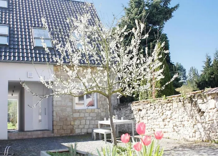 בית נופש Brunnenhaus Land-idylle In Der Stadt מיינץ